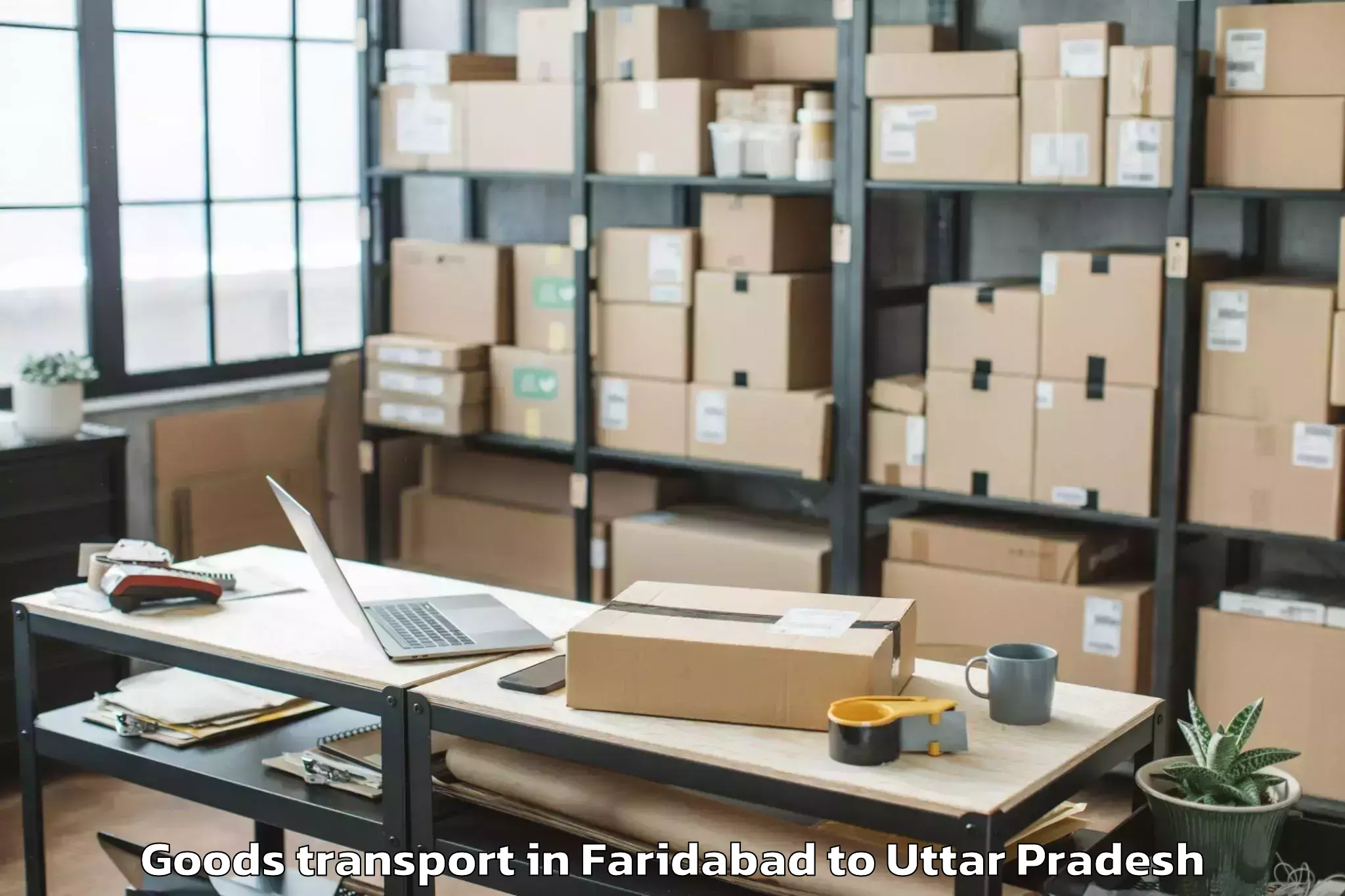 Professional Faridabad to Zamania Goods Transport